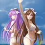 Summer at the Beach
