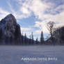 Snowy Yosemite - 12.27.08