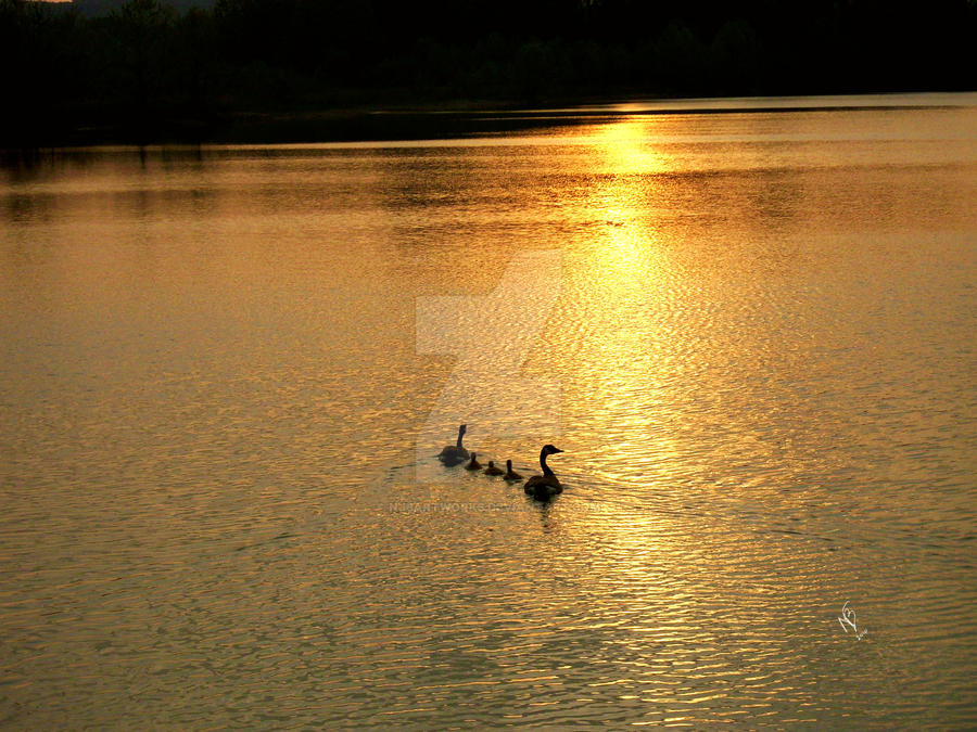 Family Sunset