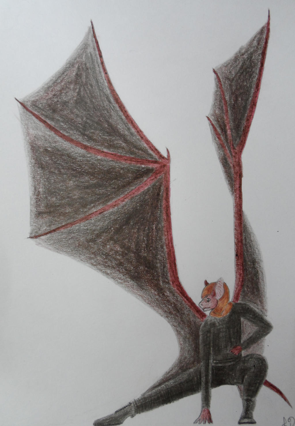 Anthro Bat