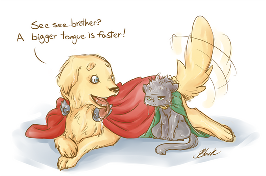 Dog Thor and Cat Loki - Baths
