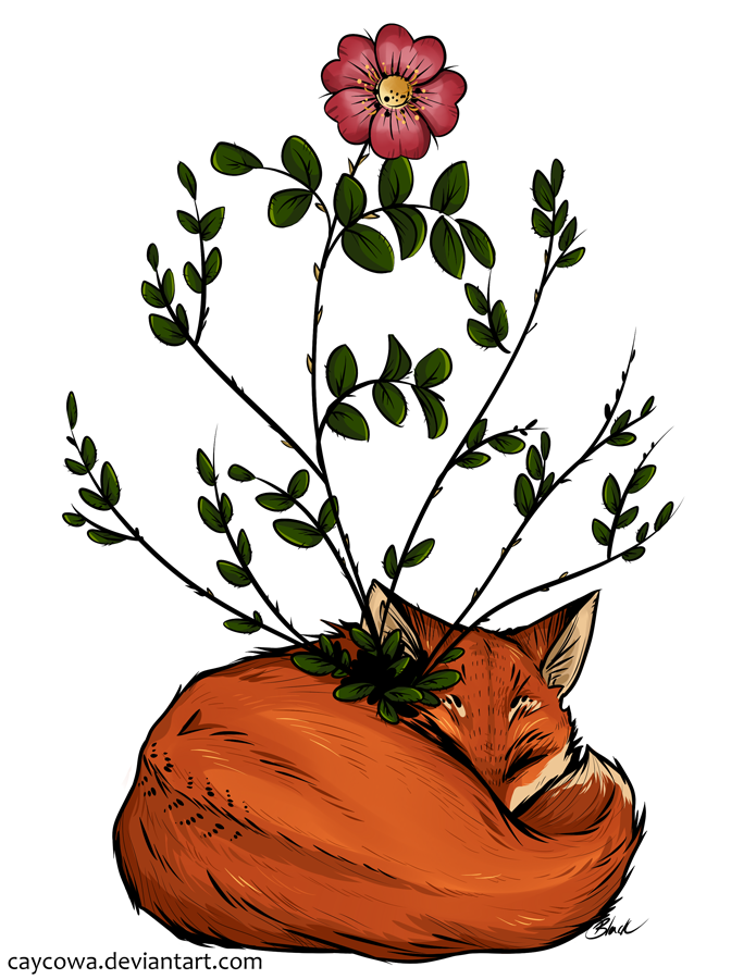 Grow with me - Fox