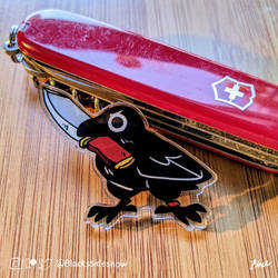 Canuck the Crow acrylic pin