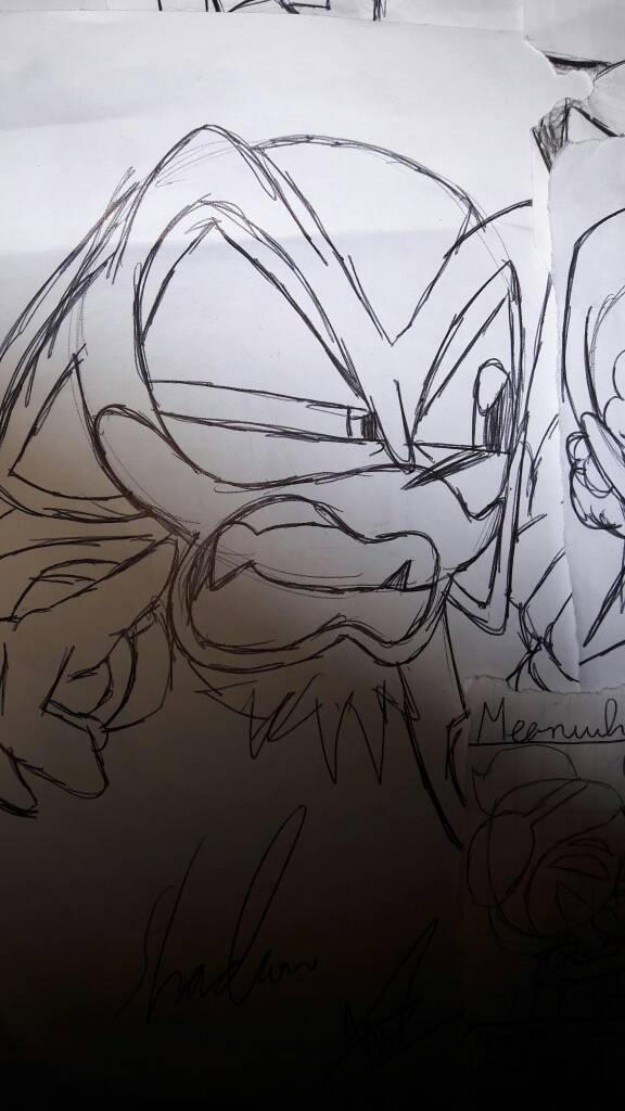 Angry shadow 2022 by mrsgalaxy122 on DeviantArt