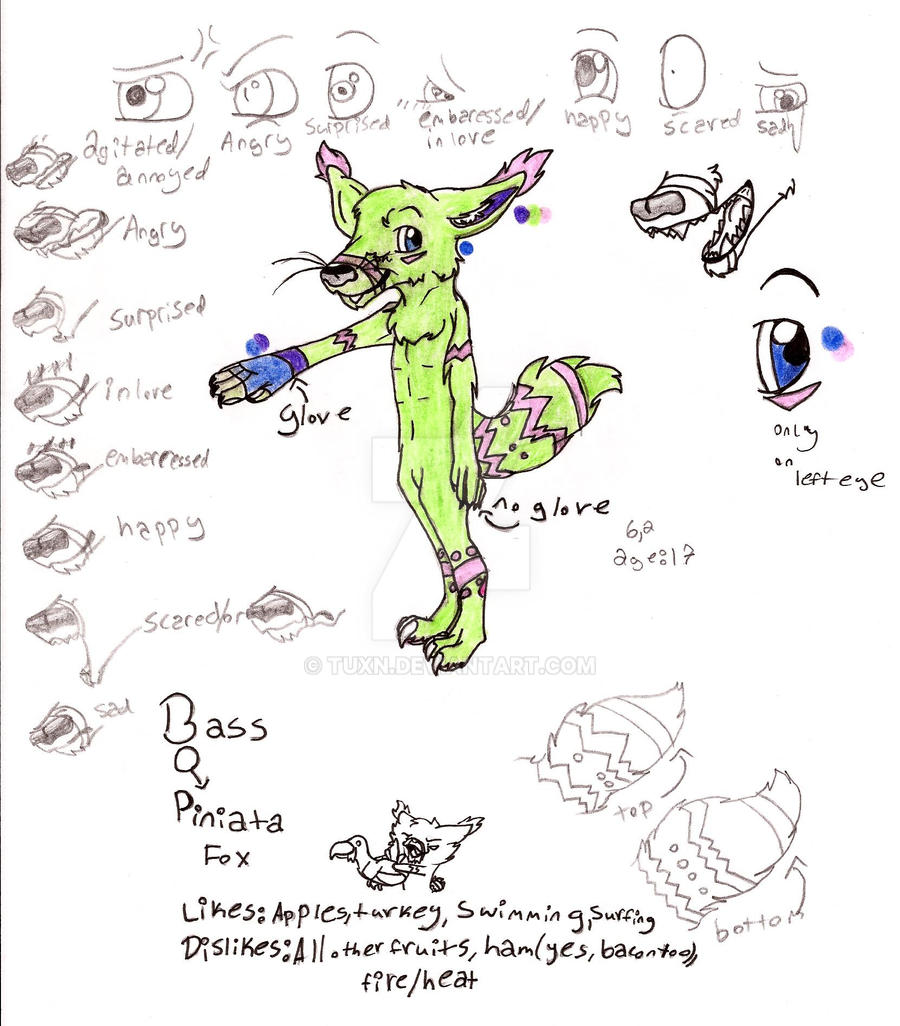 Bass reference sheet