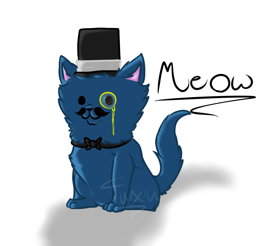 Fancy cat