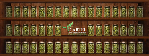 Cartel - Cannabis Shelf