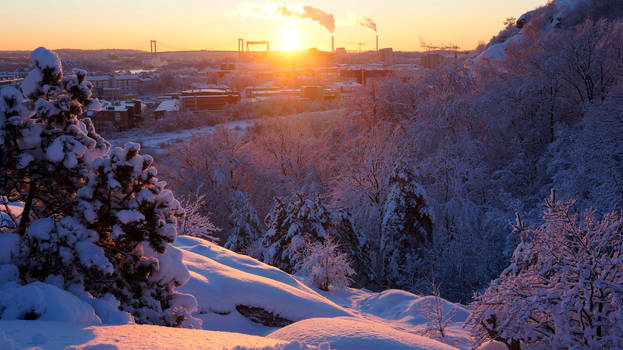 Swedish winter sunset