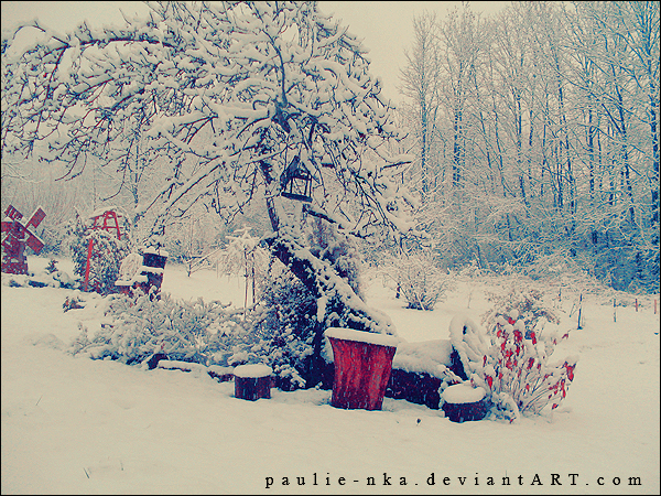 polish WINTER