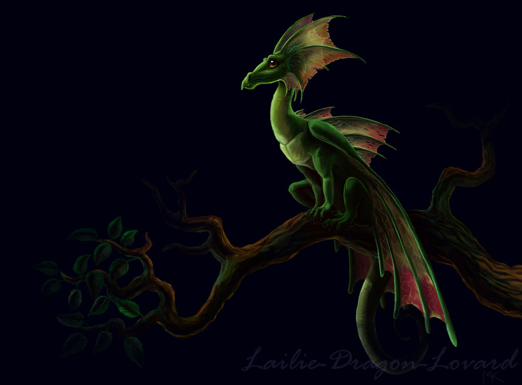 Drahar Drahar by Lailie-Dragon-Lovard on DeviantArt