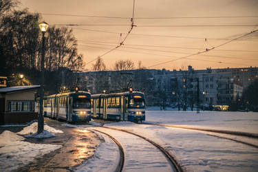 Winter Trams