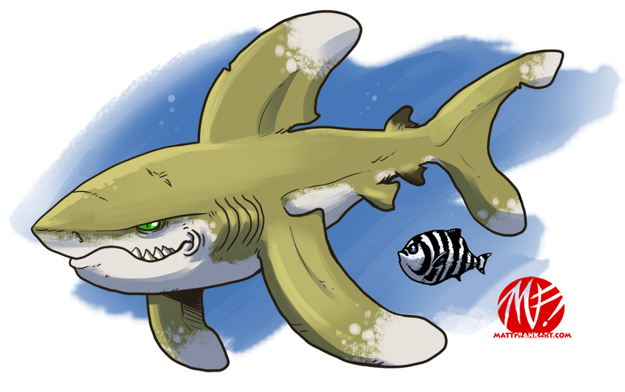 Shark Week 2012 - Oceanic Whitetip