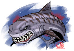 Shark Week 2012 - Tiger Shark