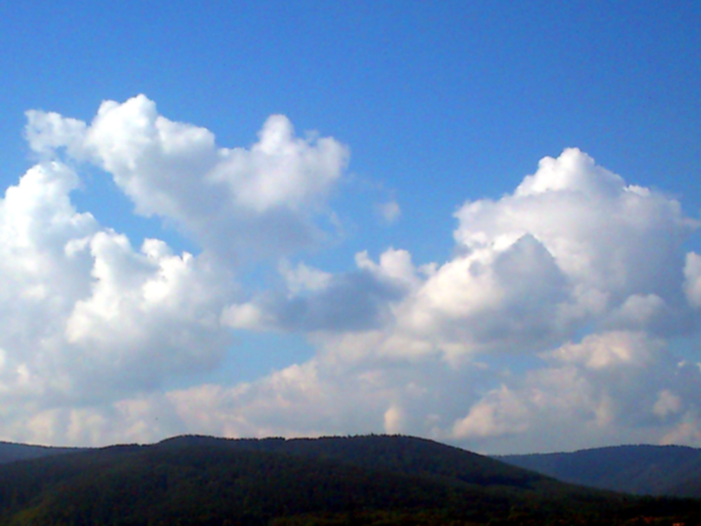 Two wrestlers - Cloud Meditation - day 1