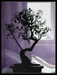 Bonsai by dynopunk
