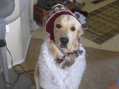 Dressed For The Winter Season