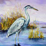 Blue Heron