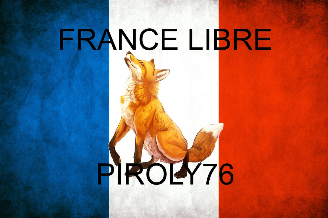 Drapeau Renard France Libre by MiddleFox on DeviantArt