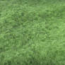 Grass v3