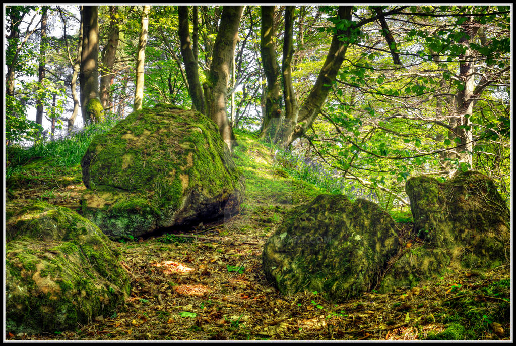 Forest Rocks Group Forest Rocks by LogoPad on DeviantArt