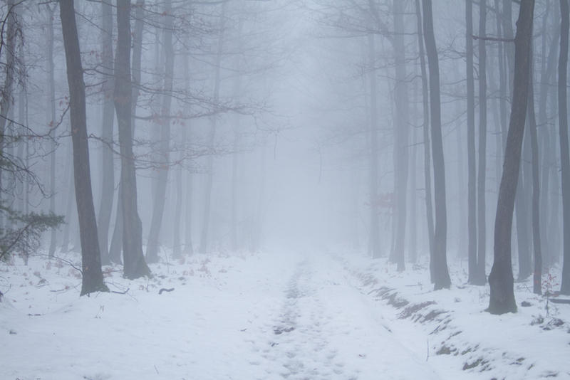 Mist.