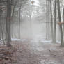 Autumn Mist.