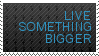 live something bigger.