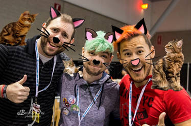 Wade, Jack, and Markiplier cats