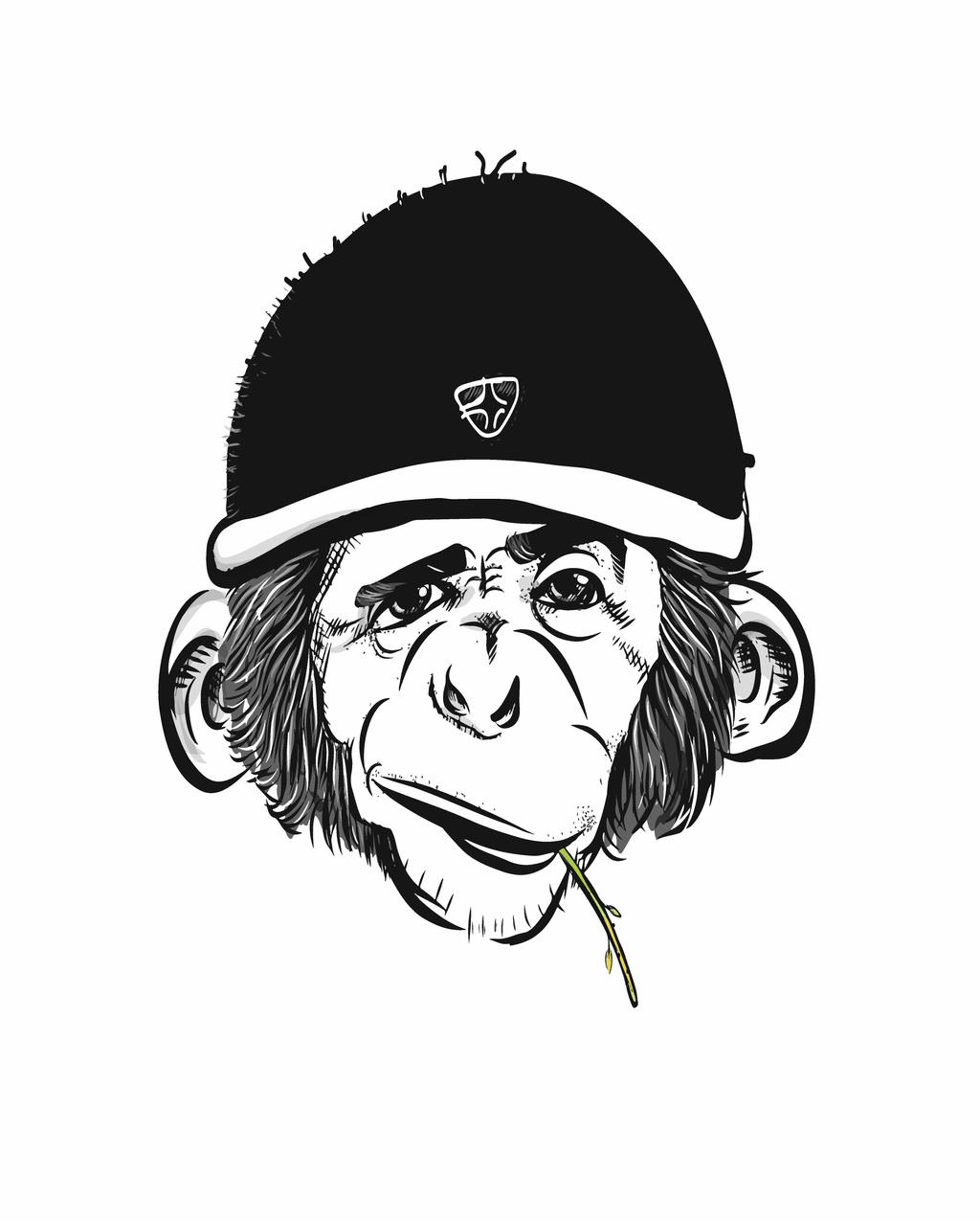 Monkey