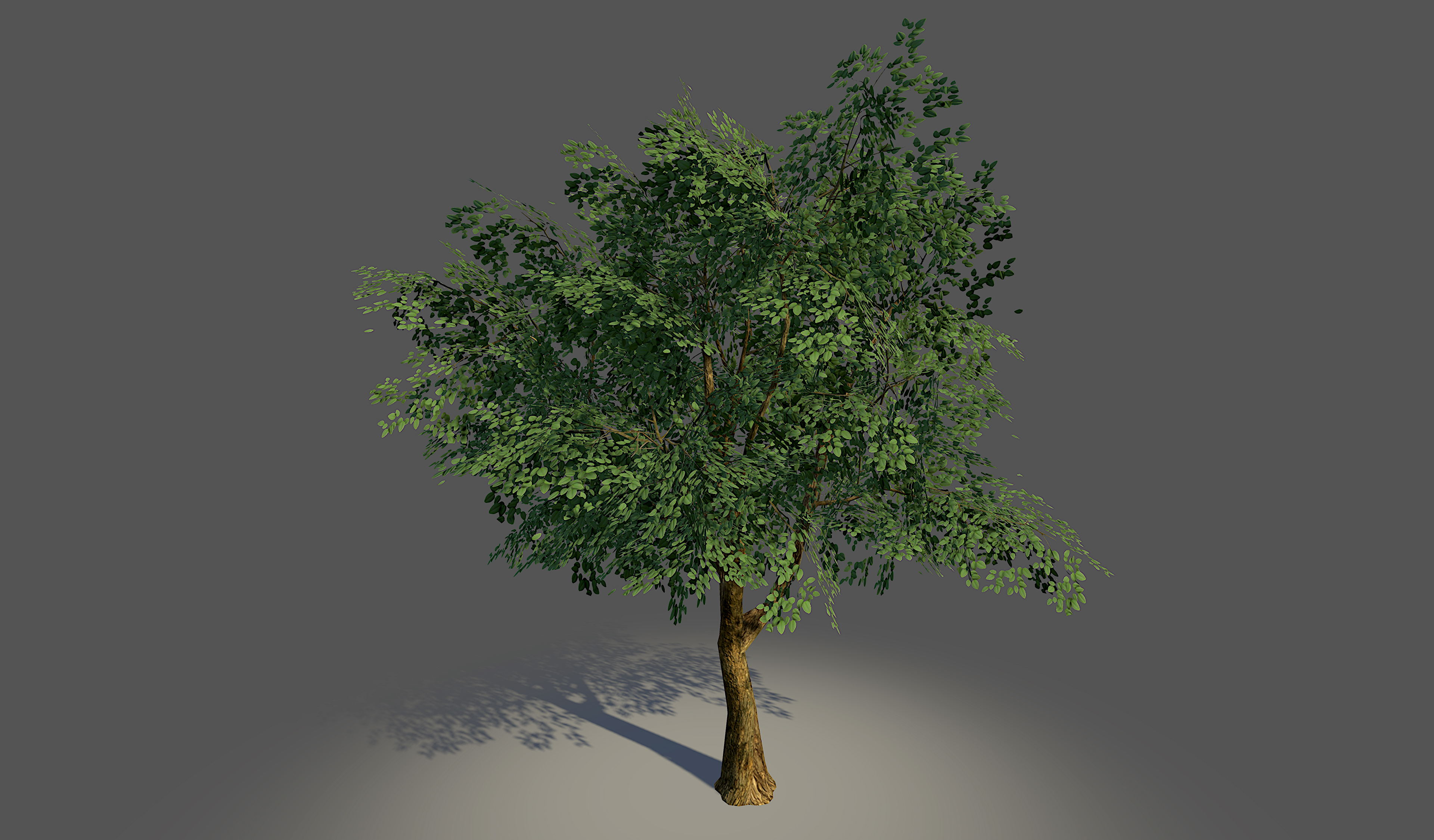 Lowpoly Tree