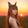 Spice and Wolf