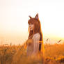 Spice and Wolf