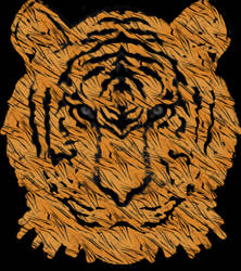 The Tiger - Powerful, Bold, Beautiful and Wise