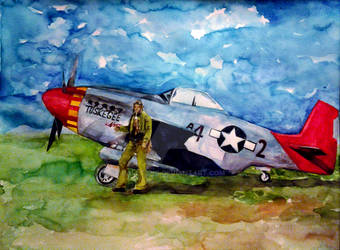 Tuskegee Airmen(Gift)