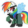 Kyoshi Rainbow Dash