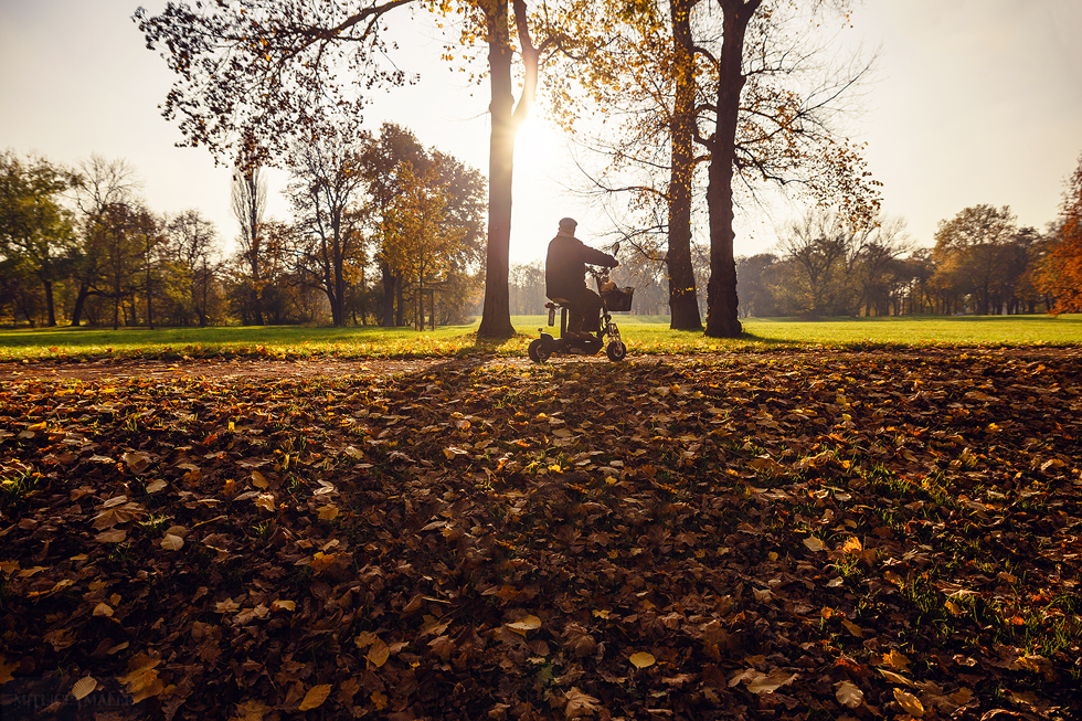 Autumn