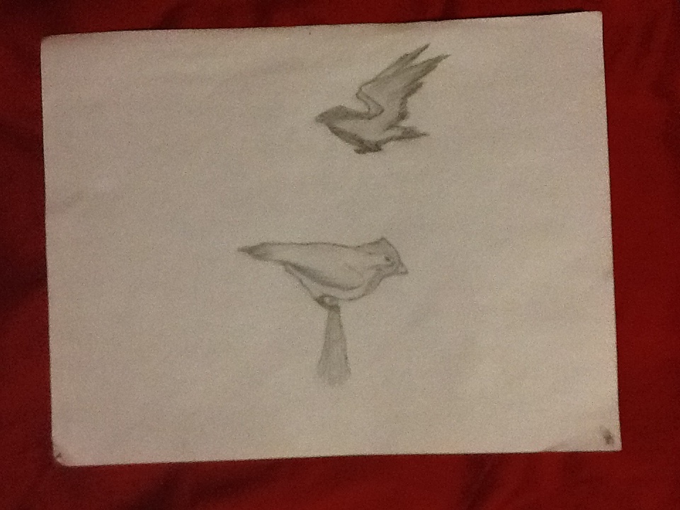 Birds 2