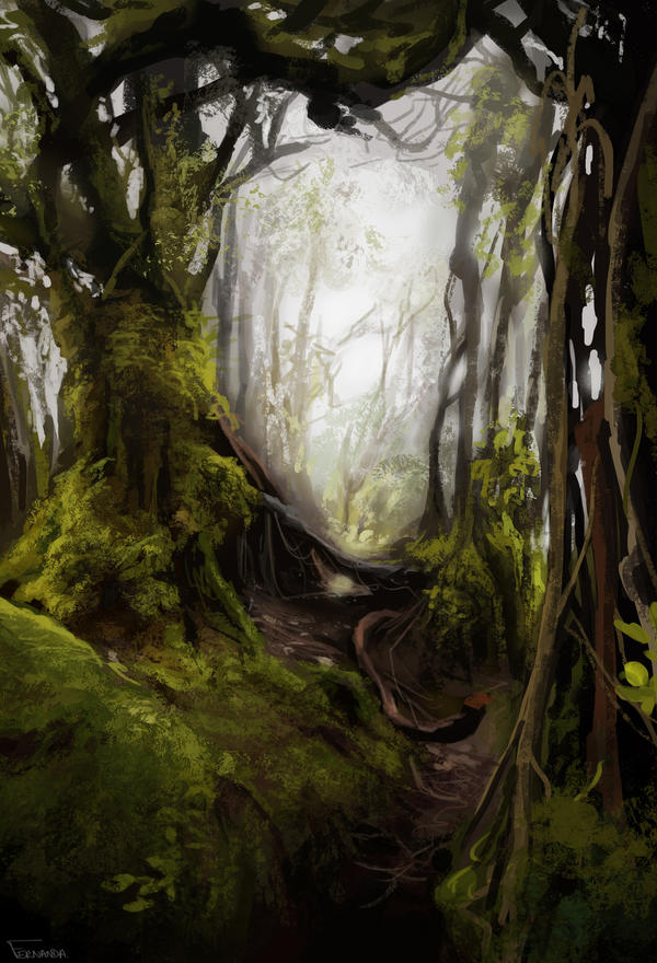 forest by fdasuarez on DeviantArt