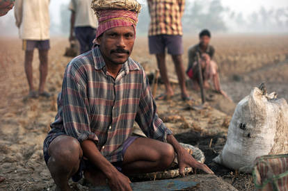 Bengali Workman