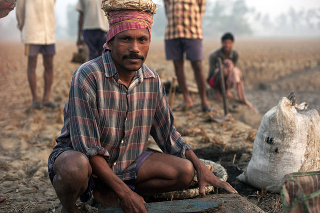 Bengali Workman