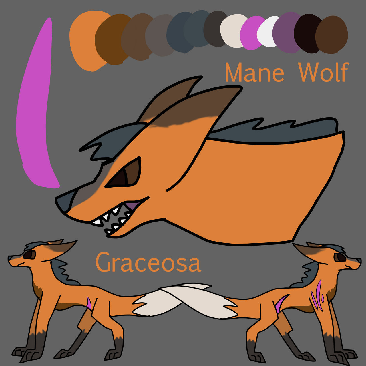 OC Refs:Graceosa(Maned Wolf) by SaurinoTheSpinowing on DeviantArt