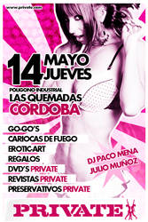 Flyer Private 2