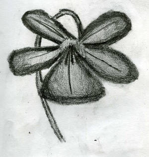 Flower 3