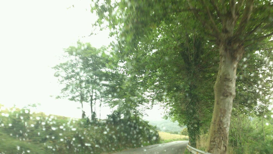 Rain Tree Rd rain tree road by HowlingSara2000 on DeviantArt