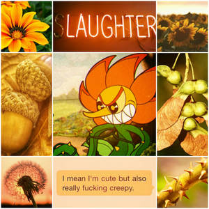 Cagney Carnation Aesthetic