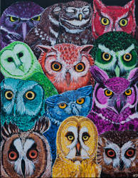 Owl Collaboration