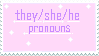 pink/purple they she he pronoun stamp