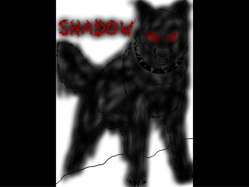 Shadow ID by Wolfspiritofrain on DeviantArt