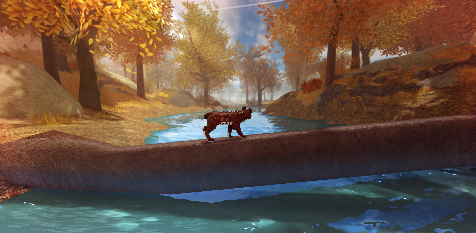 Warrior Cat with Shimmering Water · Creative Fabrica