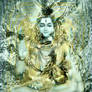 Lord Shiva II